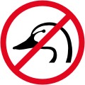 No duck!